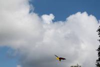 143 Vogelpark Walsrode