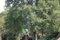 147 Vogelpark Walsrode