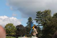 149 Vogelpark Walsrode