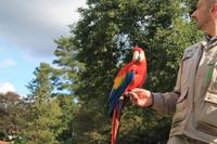 155 Vogelpark Walsrode