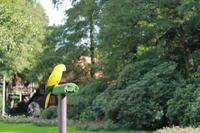 163 Vogelpark Walsrode