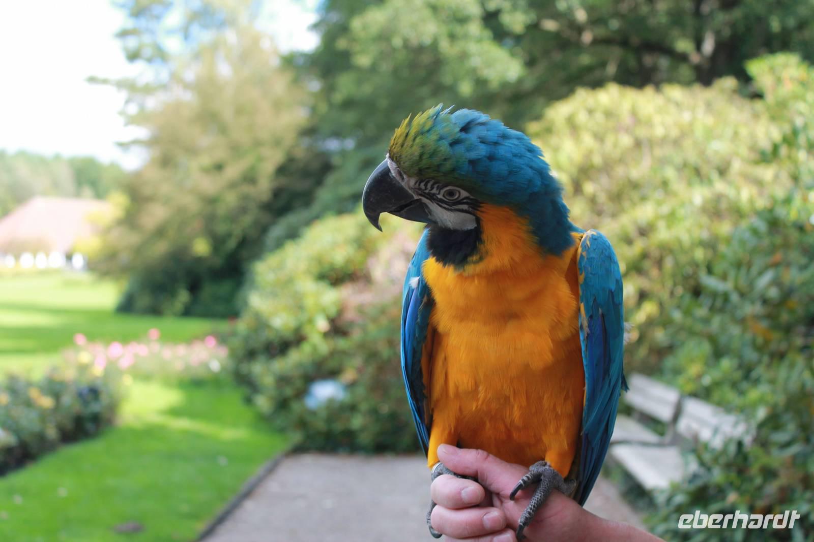 164 Vogelpark Walsrode