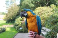 165 Vogelpark Walsrode