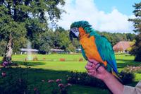 169 Vogelpark Walsrode