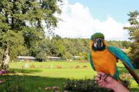 170 Vogelpark Walsrode