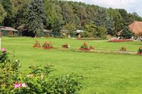 179 Storch auf der Durchreise