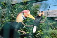 182 Vogelpark Walsrode