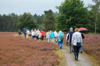 Spaziergang durch die Ostheide