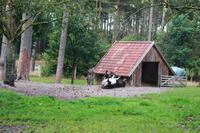 im Schäferhof Neuenkirchen - so eine Eselei!
