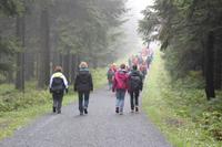 Single-Aktiv-Tag, Wandergruppe