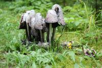 Single-Aktiv-Tag Oberwiesenthal