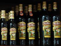 nächster Programmpunkt Wilthen