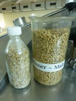 Führung durch die Eibauer Privatbrauerei