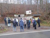 Spaziergang im Selketal