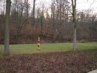 Deutsch-polnische Grenze hinterm Kloster