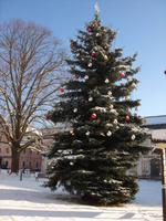 Weihnachtsbaum in Tschechien