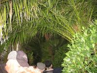 Palmenhaus Bad Pyrmont