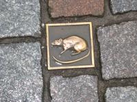 Ratten in Hameln