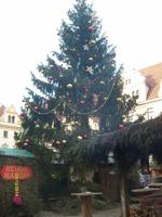 im Innenhof des Schlosses