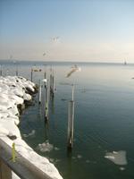 an der Promenade in Friedrichhafen