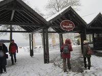 Spaziergang am Starnberger See