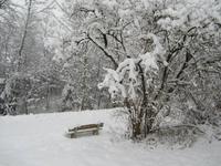 Mit dem Silvesterzug der Zillertalbahn unterwegs