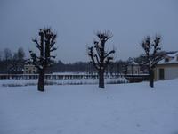 Schlosspark Moritzburg