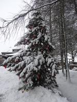 Gelände Kunsthandwerkerhaus Ratags