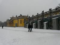 Schloss Sanssouci im Winter