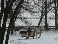 Schlittenfahrt - war uns leider nicht vergönnt