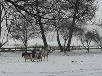 Schlittenfahrt - war uns leider nicht vergönnt