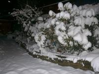 29.12.14 Heimbuchenthal 