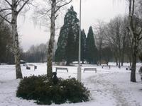 31.12.14 Bad Soden-Salmünster 