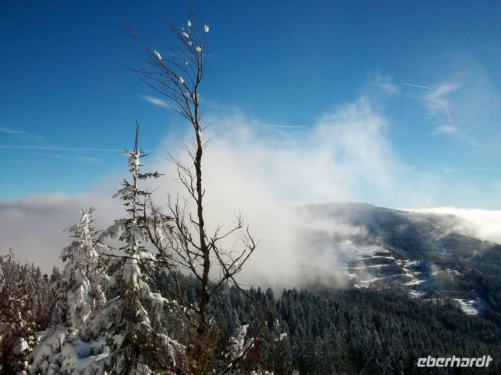 Blick von der Schwarzwald- Hochstraße