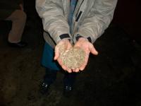 Schinkenräucherei und Metzgerei 