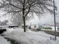 Schnee, Schnee, Schnee ...