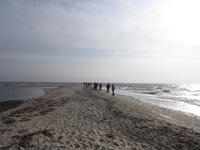 Wanderung am Strand