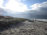 Am rauen Strand von Hiddensee