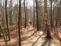 Schwarzbergweg nach Stadt Wehlen