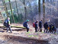 Schwarzbergweg nach Stadt Wehlen