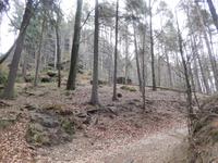 Auf dem Weg zum Pfaffenstein