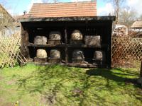 Freilandmuseum Lehde