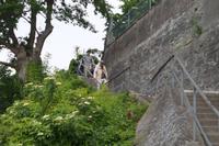 Im Meersburger Weinberg