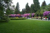 Mainauer Blumenpracht