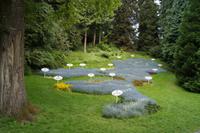 Der Bodensee als Blumenbeet