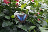 Fliegen ist anstrengend.