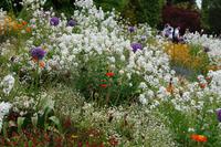 Noch ein paar neue Farbtupfer