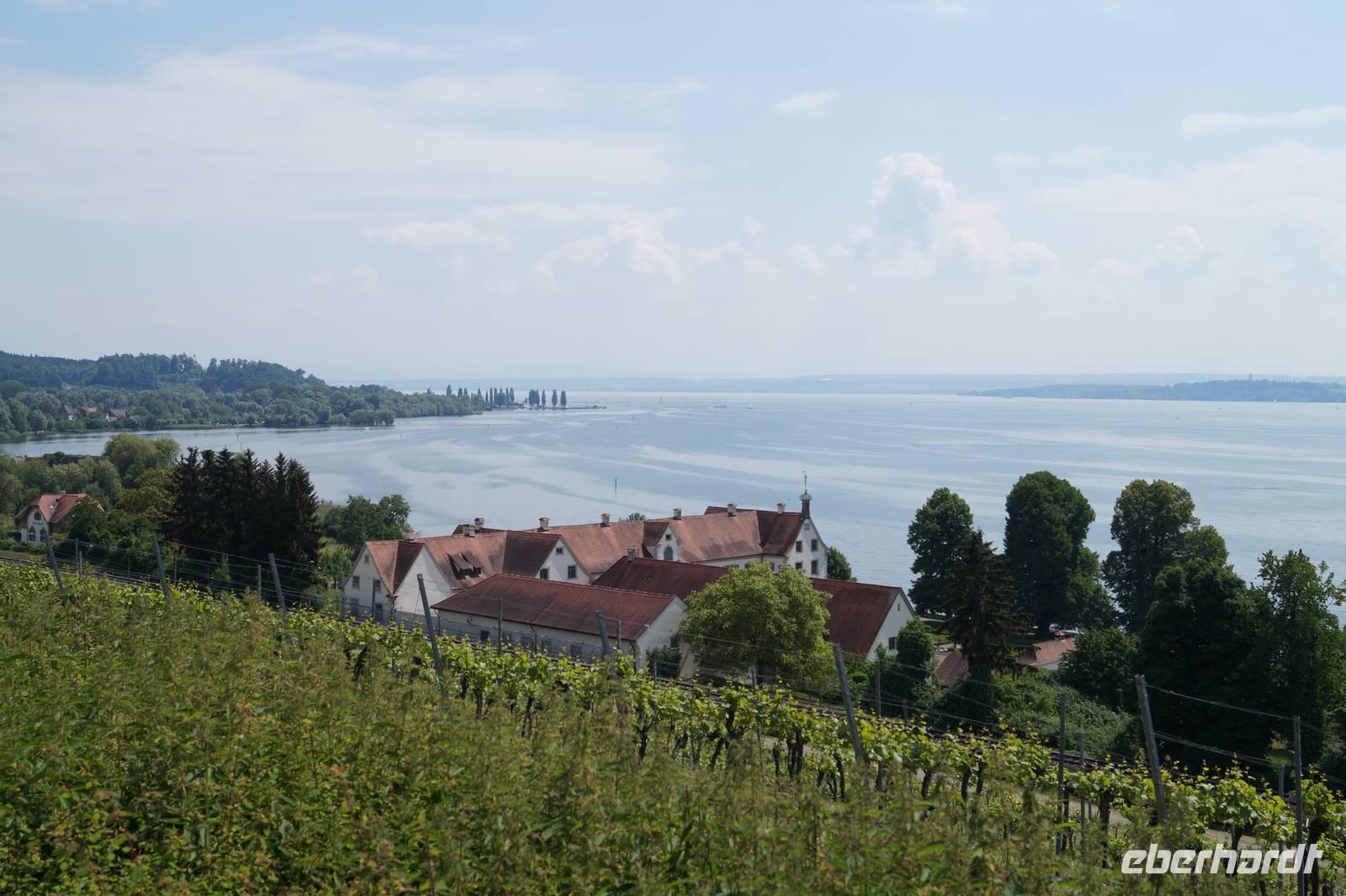 Blick von Birnau über Bodensee, Weinberge und Wirtschaftsgebäude