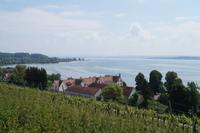 Blick von Birnau über Bodensee, Weinberge und Wirtschaftsgebäude