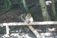 Man macht sich so seine Gedanken